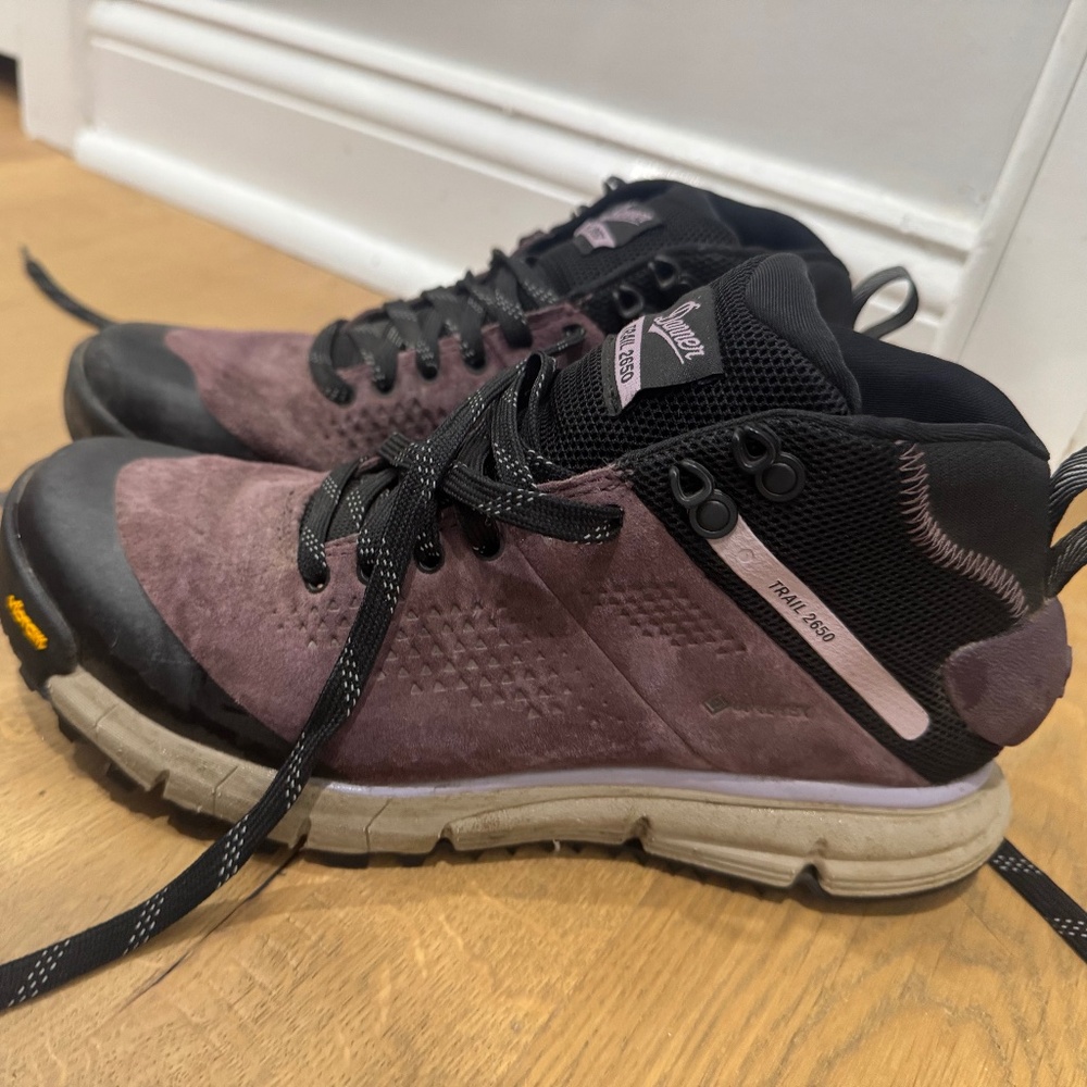 Danner 2650 GTX Mid Hiking Boot Women's 8